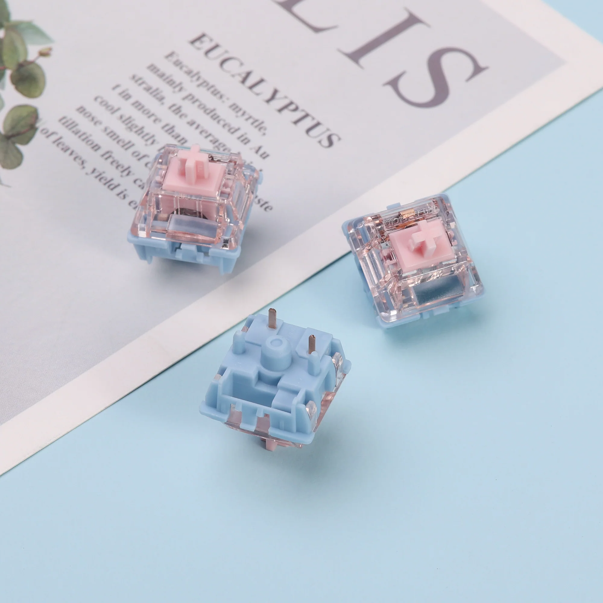 GATERON MELODIC Clicky SWITCHES - Image 4
