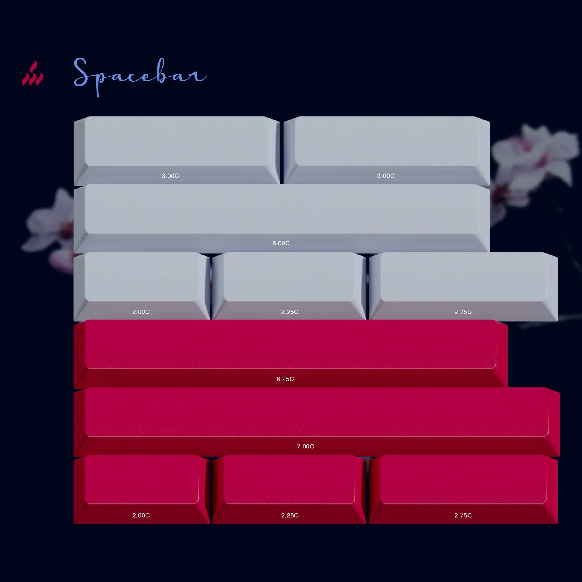 PBTfans Spacebar Kit Collection - Image 13